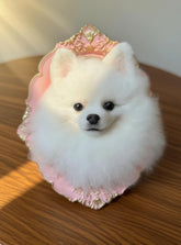 Needle-Felted Pet Portrait in Frame – Custom Wool Felt Pet Face with Decorative Border (approx. 20 cm / 7.87 in)