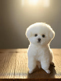 Custom Full-Body Needle-Felted Pet Sculpture – 20 cm (7.87 in), 40 cm (15.75 in), or Custom Size