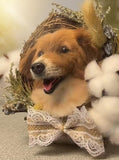 Needle-Felted Pet Portrait with Back-of-Head Detail – Custom Wool Felt Frame (approx. 20 cm / 7.87 in)
